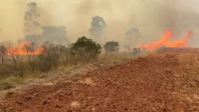 Fotos de Homem morre carbonizado em incêndio em canavial na região de Maringá