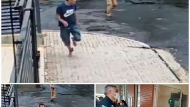 Fotos de Homem suspeito de realizar vários assaltos é baleado após atacar policial com uma faca