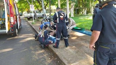 Fotos de Homem tem reação alérgica grave após ser atacado por abelhas na UEM, em Maringá