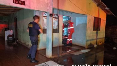 Fotos de Idosa é agredida pelo próprio neto em Sarandi