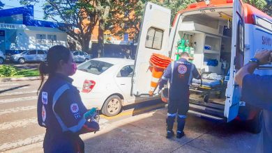 Fotos de Idoso é socorrido após levar mais de 300 picadas de abelha