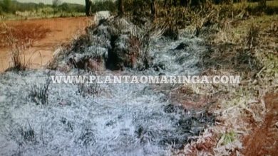 Fotos de Idoso morre ao inalar fumaça em incêndio ambiental na estrada serrinha entre Água Boa e Doutor Camargo