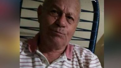Fotos de Idoso morre ao ser atacado por enxame de abelhas