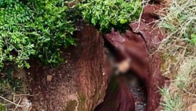 Fotos de Idoso morre ao cair de 15 metros enquanto tentava resgatar carneiro que estava próximo a uma ribanceira