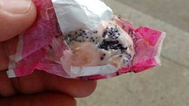 Fotos de Irmãos são internados após comerem balas com chumbinho