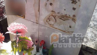 Fotos de Ladrões invadem cemitério municipal de Maringá para roubar peças de cobre