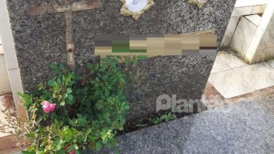 Fotos de Ladrões voltam a agir no cemitério municipal de Maringá