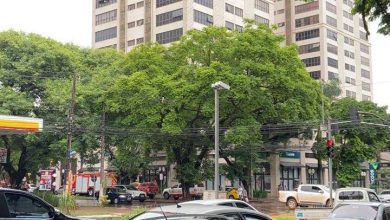 Fotos de Maringá; dupla invade sala de edifício comercial e ameaça atear fogo em homem