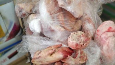 Fotos de Maringá; fiscalização apreende quase meia tonelada de carne imprópria para consumo em supermercado