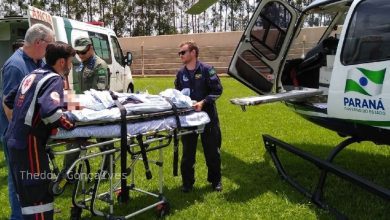 Fotos de Menino de seis anos é picado por escorpião amarelo escondido no tênis