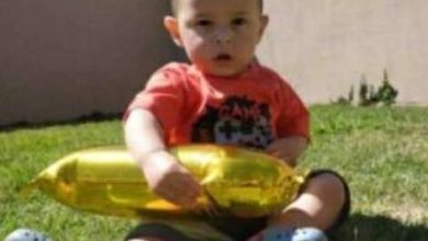 Fotos de Morre no hospital criança de 1 ano vítima de acidente entre carro e trem