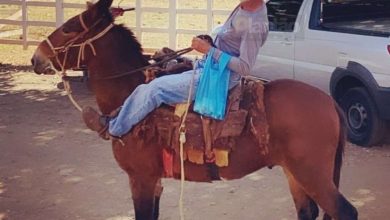 Fotos de Motociclista de 56 anos morre em acidente com caminhão em Maringá