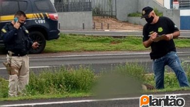 Fotos de Motociclista morre após grave acidente na rodovia BR-376