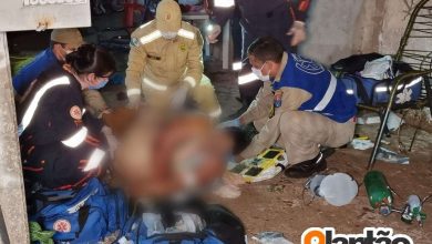 Fotos de Mulher é executada com 11 tiros em Mandaguaçu