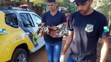Fotos de Padrasto de bebê encontrado morto é espancado na cadeia de Campo Mourão