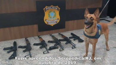 Fotos de Polícia Federal desarticula associação criminosa, atuante no tráfico de fuzis e drogas, na região de Maringá