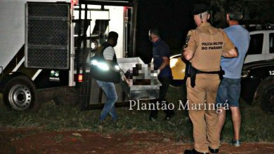 Fotos de Quadrilha invade fazenda para roubar maquinários agrícolas e suspeito morre em confronto com a Polícia em Marialva
