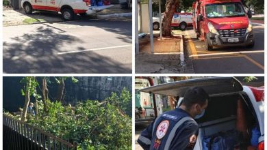 Fotos de Trabalhador morre após cair de um pé de abacate em Maringá