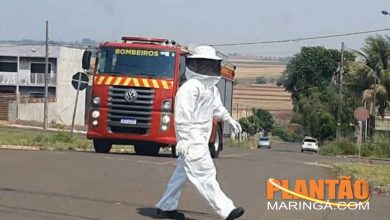 Fotos de Trabalhadores são atacados por abelhas durante roçada, em Maringá