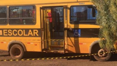 Fotos de Tragédia em Jardim Alegre: criança de dois anos morre atropelada por ônibus escolar