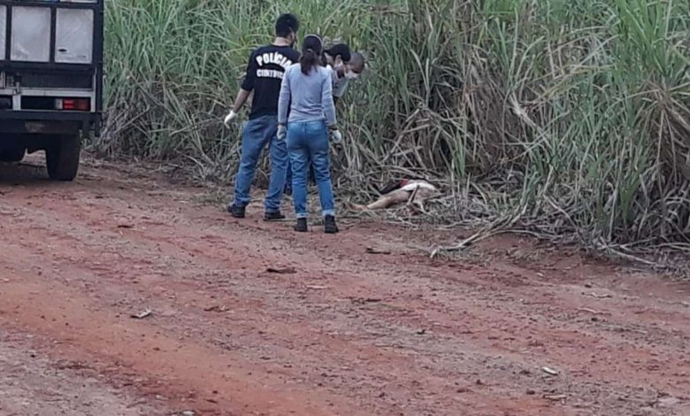Fotos de Travesti é encontrada morta em canavial de Mandaguaçu, diz Polícia