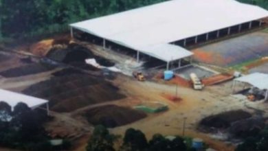 Fotos de Usina de compostagem de resíduos orgânicos industriais seria responsável pelo mal cheiro em Maringá