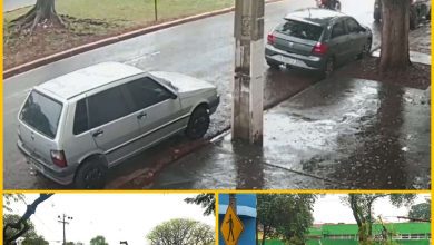 Fotos de Vídeo: Árvore tomba em cima de carro e motorista escapa sem ferimentos em Maringá