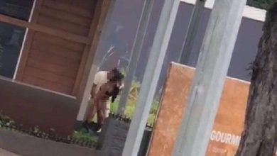 Fotos de Vídeo: casal é pego no flagra fazendo sexo em plena a luz do dia em Maringá