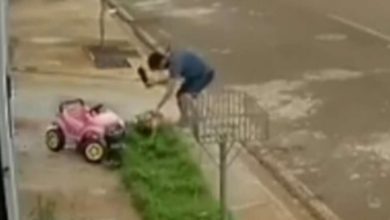 Fotos de Vídeo mostra homem espancando o próprio cachorro, em Sarandi
