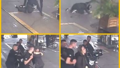 Fotos de Vídeo mostra seguranças agredindo casal em posto de combustível em Maringá