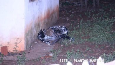 Fotos de Homem é executado a tiros ao lado da casa onde morava em Mandaguaçu 