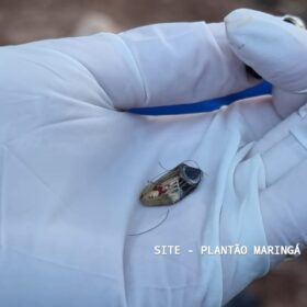 Fotos de Homem é executado com tiro na cabeça ao lado de uma igreja católica em Maringá