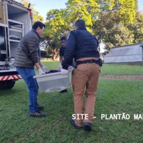 Fotos de Adolescente se apresenta à polícia e assume ter matado jovem com tiro na cabeça em Maringá