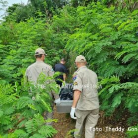 Laudo do IML aponta que homem encontrado em córrego de Maringá, morreu vítima de afogamento Foto 1 Fotos de Laudo do IML aponta que homem encontrado em córrego de Maringá, morreu vítima de afogamento