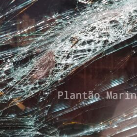 Fotos de Árvore parte ao meio após ser atingida por carro em Maringá