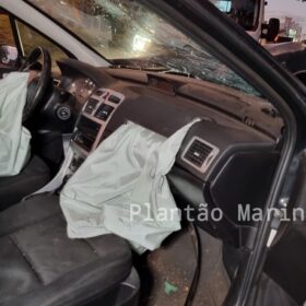 Fotos de Árvore parte ao meio após ser atingida por carro em Maringá