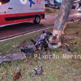 Fotos de Árvore parte ao meio após ser atingida por carro em Maringá