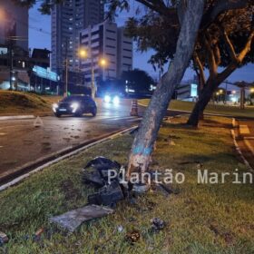 Fotos de Árvore parte ao meio após ser atingida por carro em Maringá