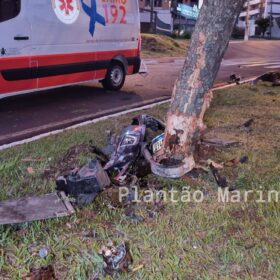 Fotos de Árvore parte ao meio após ser atingida por carro em Maringá
