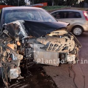 Fotos de Árvore parte ao meio após ser atingida por carro em Maringá