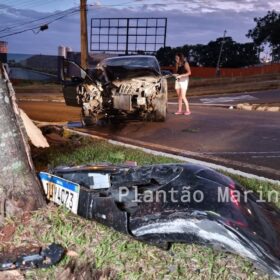 Fotos de Árvore parte ao meio após ser atingida por carro em Maringá