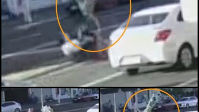 Fotos de Casal é atropelado por motociclista que transitava na faixa exclusiva de ônibus em Maringá