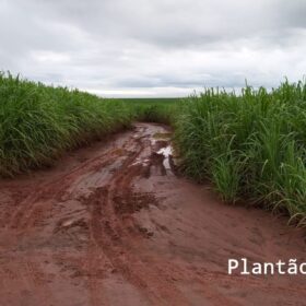 Fotos de Dois ladrões mortos e quatro presos após intensa troca de tiros com equipes da Choque Maringá e Rotam de Colorado