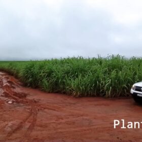 Fotos de Dois ladrões mortos e quatro presos após intensa troca de tiros com equipes da Choque Maringá e Rotam de Colorado