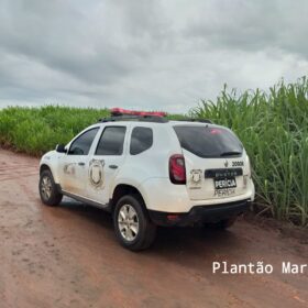 Fotos de Dois ladrões mortos e quatro presos após intensa troca de tiros com equipes da Choque Maringá e Rotam de Colorado