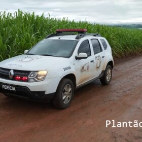 Fotos de Dois ladrões mortos e quatro presos após intensa troca de tiros com equipes da Choque Maringá e Rotam de Colorado
