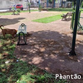 Fotos de Homem é esfaqueado e colocado para fora de casa pela esposa em Sarandi