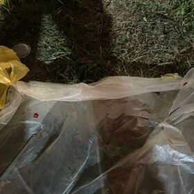 Fotos de Homem é morto a facadas em Porto Rico e Denarc de Maringá prende autor em flagrante