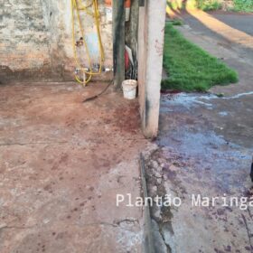 Fotos de Homem é morto pela esposa com 8 facadas após ser flagrado falando com a amante pelo telefone em Sarandi