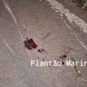 Fotos de Motociclista sofre ferimentos após colisão na Avenida Colombo em Maringá 